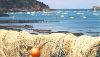 P�che - Des filets de p�cheurs sur le port de Cancale