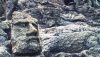 Roth�neuf - Rochers sculpt�s