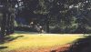 Golf - golf du Tronchet
